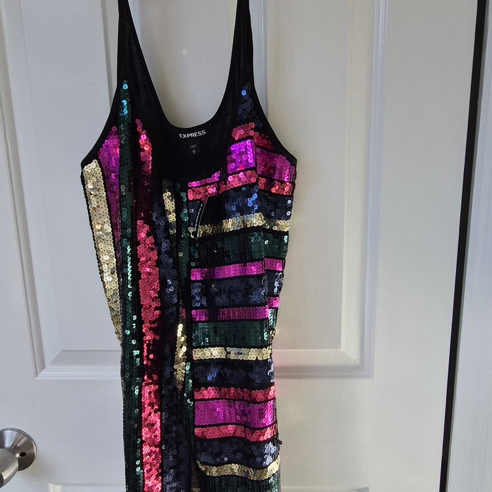 Express Multicolor Sequin Top